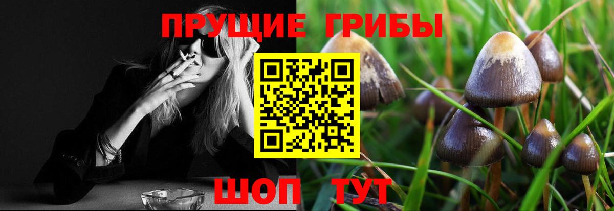 где найти   Вход с VPN  Ростов Великий  Псилоцибиновые грибы Cubensis  Галлюциногенные грибы ЛСД 